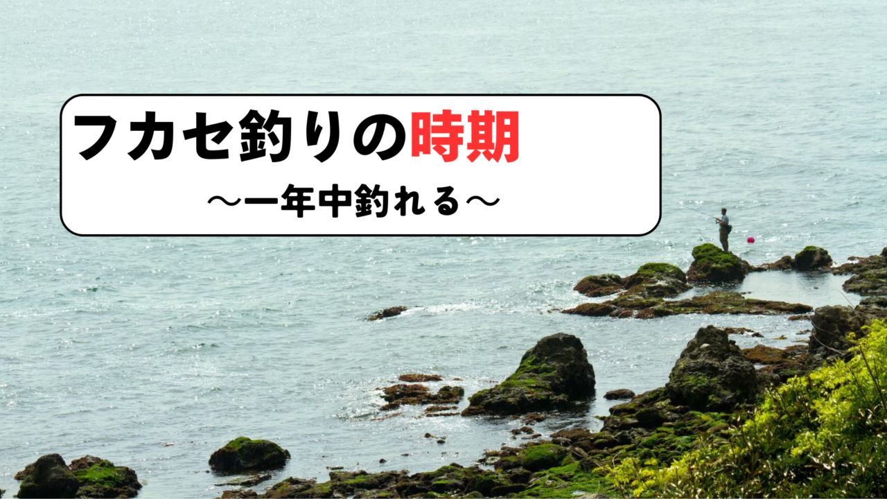 フカセ釣りの時期について