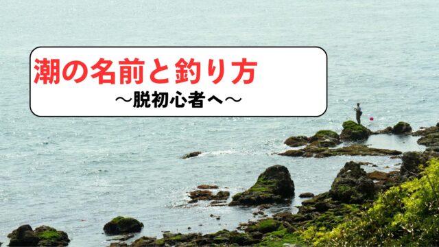 潮の流れと読み方