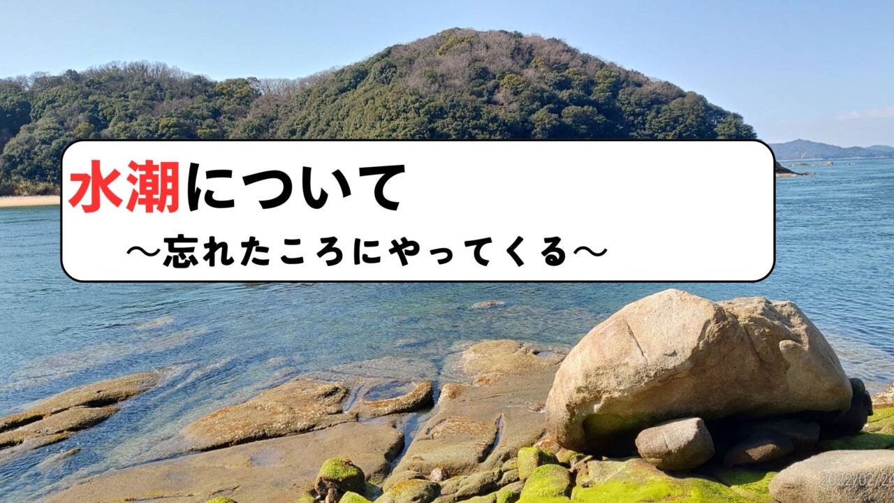 水潮について